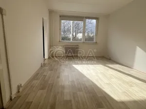 Pronájem bytu 1+kk, Praha - Chodov, Ledvinova, 31 m2