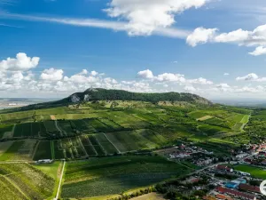 Prodej rodinného domu, Dolní Dunajovice, Krátká, 125 m2