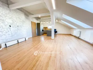 Pronájem bytu 4+kk, Znojmo, I. P. Pavlova, 110 m2