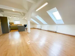 Pronájem bytu 4+kk, Znojmo, I. P. Pavlova, 110 m2