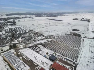 Prodej komerčního pozemku, Mlékojedy, 3769 m2