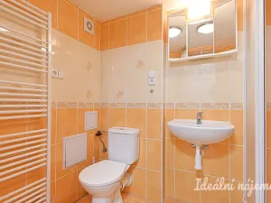 Pronájem bytu 1+kk, Adamov, Osvobození, 30 m2