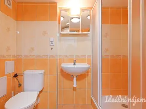 Pronájem bytu 1+kk, Adamov, Osvobození, 30 m2