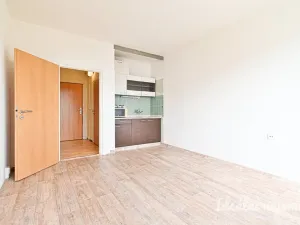 Pronájem bytu 1+kk, Brno - Lesná, Halasovo náměstí, 22 m2