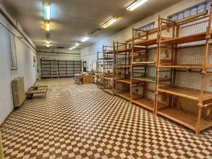 Pronájem obchodního prostoru, Klatovy, Zahradní, 430 m2