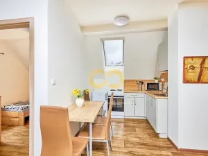 Prodej rodinného domu, Černá v Pošumaví, 330 m2