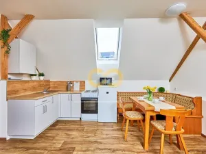 Prodej rodinného domu, Černá v Pošumaví, 330 m2