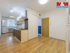 Pronájem bytu 2+1, Sokolov, Alšova, 62 m2