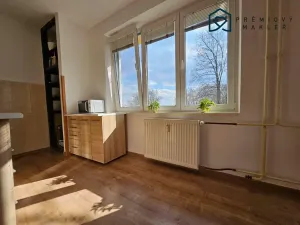 Pronájem bytu 1+1, Litvínov - Horní Litvínov, Podkrušnohorská, 40 m2