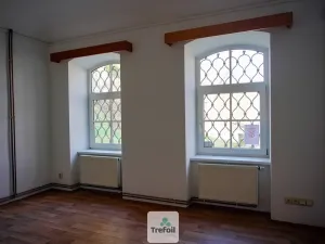 Pronájem rodinného domu, Praha, Staré náměstí, 215 m2