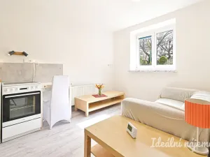 Pronájem bytu 2+kk, Brno - Královo Pole, Berkova, 41 m2