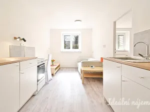 Pronájem bytu 2+kk, Brno - Královo Pole, Berkova, 41 m2