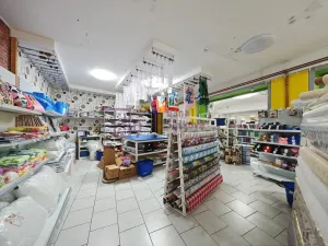 Prodej obchodního prostoru, Jindřichův Hradec - Jindřichův Hradec II, Jarošovská, 320 m2