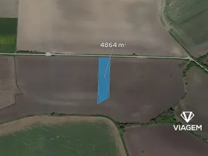 Prodej podílu pole, Běrunice, 2634 m2