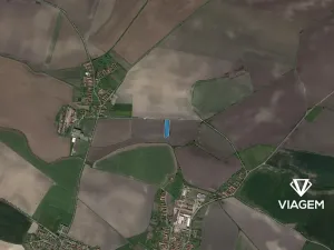 Prodej podílu pole, Běrunice, 2634 m2