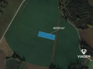 Prodej pole, Doupě, 4200 m2