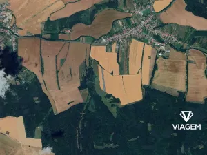 Prodej pole, Nedachlebice, 5762 m2