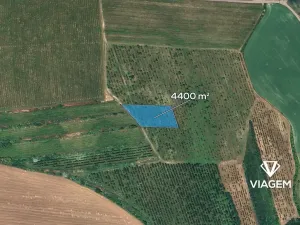 Prodej podílu pole, Kobylí, 880 m2