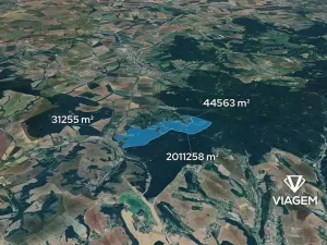 Prodej podílu lesa, Javorník, 1035 m2