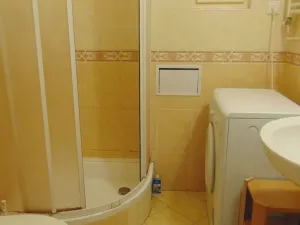 Pronájem bytu 1+kk, Praha - Nusle, U křížku, 28 m2