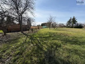 Prodej rodinného domu, Měcholupy, 273 m2