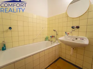 Prodej bytu 1+1, Ostrava - Moravská Ostrava, Garážní, 43 m2