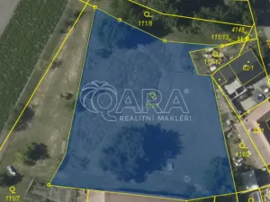 Prodej sadu/vinice, Třebenice, 2527 m2