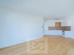 Prodej bytu 2+kk, Praha - Strašnice, Ramonova, 66 m2