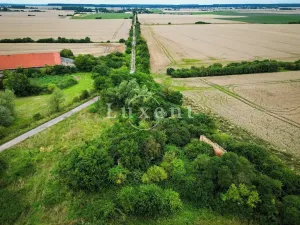 Prodej zemědělské usedlosti, Běrunice, 600 m2