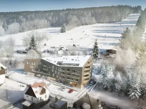 Prodej bytu 2+kk, Železná Ruda, 63 m2