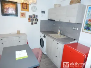 Prodej bytu 1+kk, Chomutov, Kostnická, 19 m2