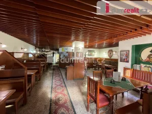 Pronájem komerční nemovitosti, Opava - Město, Ostrožná, 281 m2