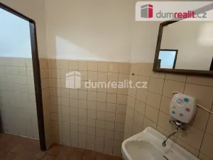 Pronájem komerční nemovitosti, Opava - Město, Ostrožná, 281 m2