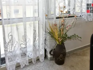 Prodej vícegeneračního domu, Halámky, 360 m2