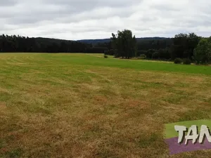 Prodej louky, Hlavice, 24694 m2