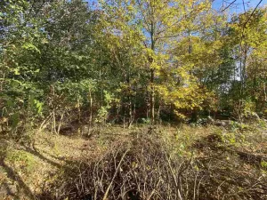 Prodej pozemku, Zdislava, 1043 m2