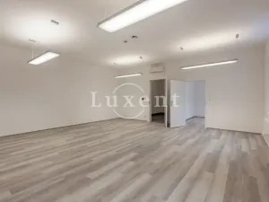 Pronájem kanceláře, Praha - Nové Město, Václavské náměstí, 156 m2