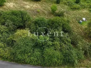 Prodej pozemku pro bydlení, Sadov, 5810 m2