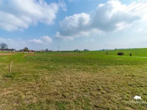 Prodej pozemku pro bydlení, Čermná, 988 m2