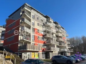 Pronájem bytu 1+kk, Zlín, Plesníkova, 30 m2