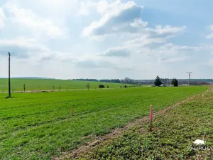 Prodej pozemku pro bydlení, Čermná, 894 m2