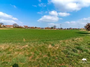 Prodej pozemku pro bydlení, Čermná, 894 m2