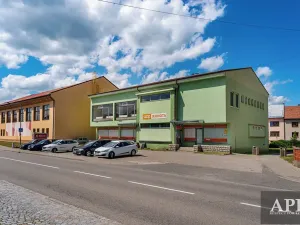 Pronájem obchodního prostoru, Šumice, 270 m2