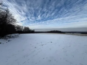 Prodej louky, Bruzovice, 94427 m2