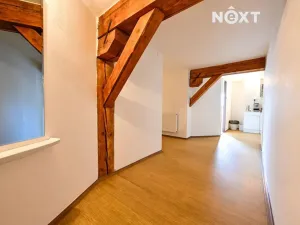 Prodej obchodního prostoru, Bílovec, 817 m2