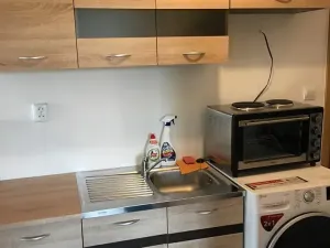 Prodej ubytování, Olomouc, Rejskova, 154 m2