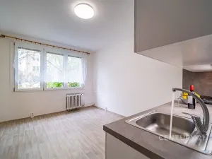 Pronájem bytu 1+kk, České Budějovice - České Budějovice 3, Plzeňská, 21 m2