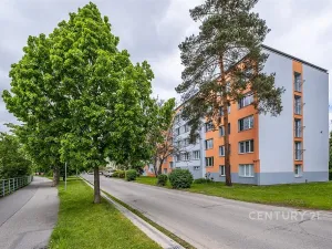 Pronájem bytu 1+kk, České Budějovice - České Budějovice 3, Plzeňská, 21 m2