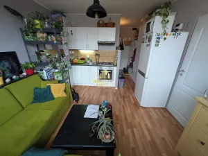 Prodej bytu 1+1, Chomutov, Hornická, 35 m2