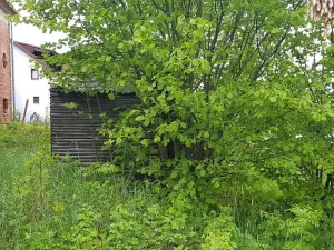 Prodej podílu rodinného domu, Nová Paka, Na Vyhlídce, 120 m2